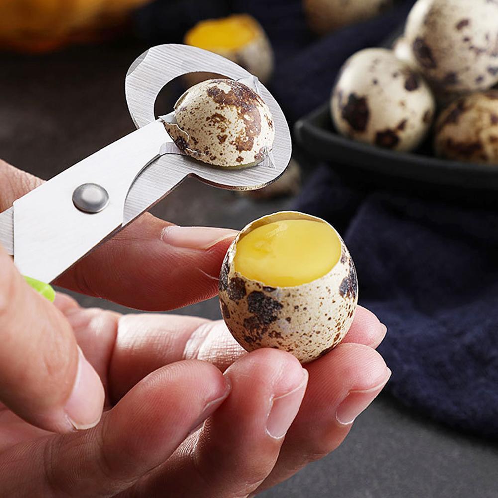 Pigeon Quail Open Crack Small  - Egg Separator Tool ulasan dan harga