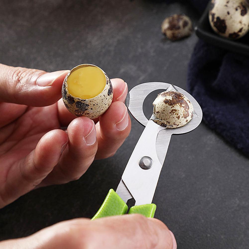 Pigeon Quail Open Crack Small  - Egg Separator Tool ulasan dan harga